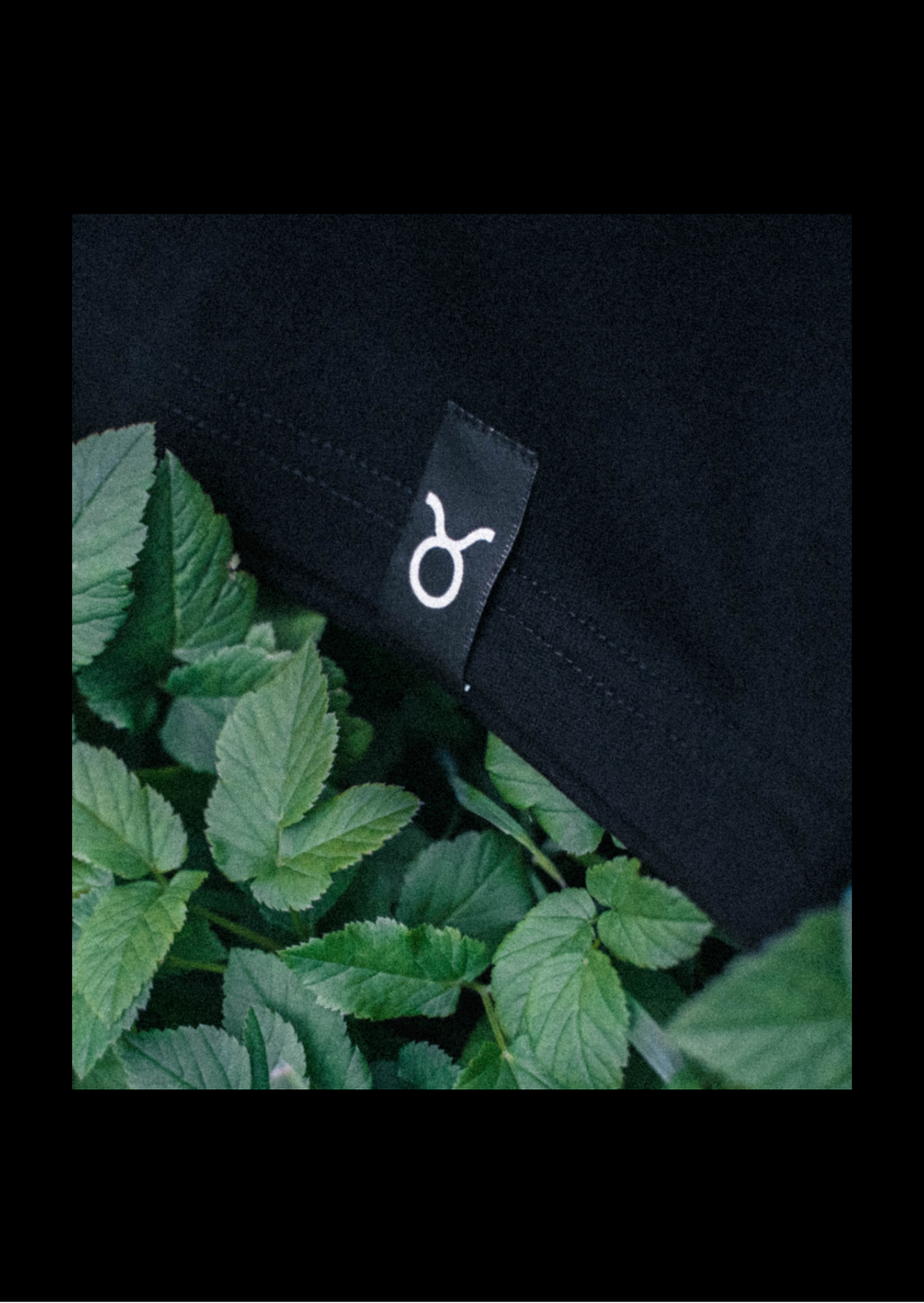 Byk T-shirt — Głęboka czerń