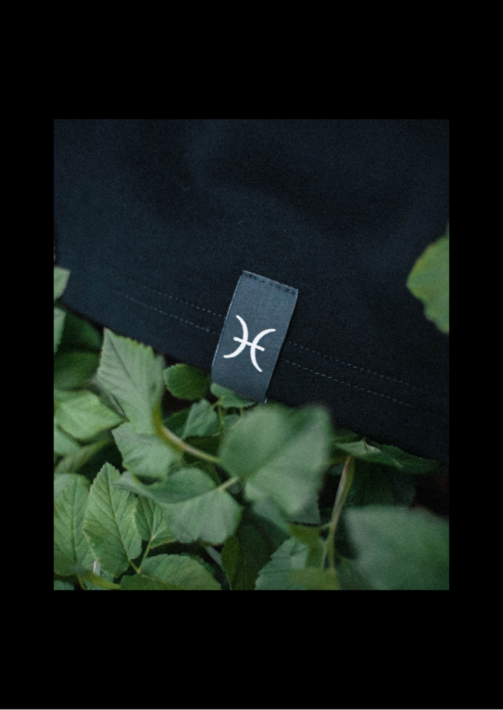 Ryby T-shirt — Głęboka czerń