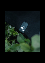 Lew T-shirt — Głęboka czerń