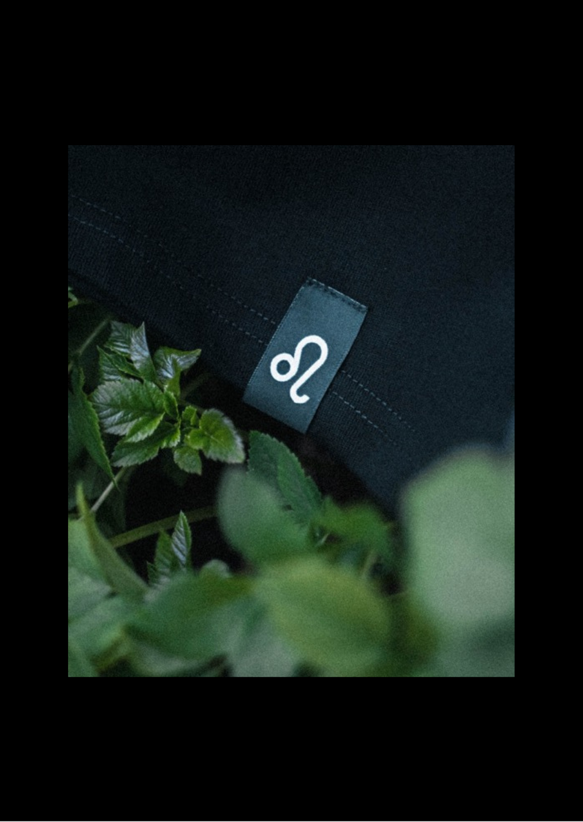Lew T-shirt — Głęboka czerń