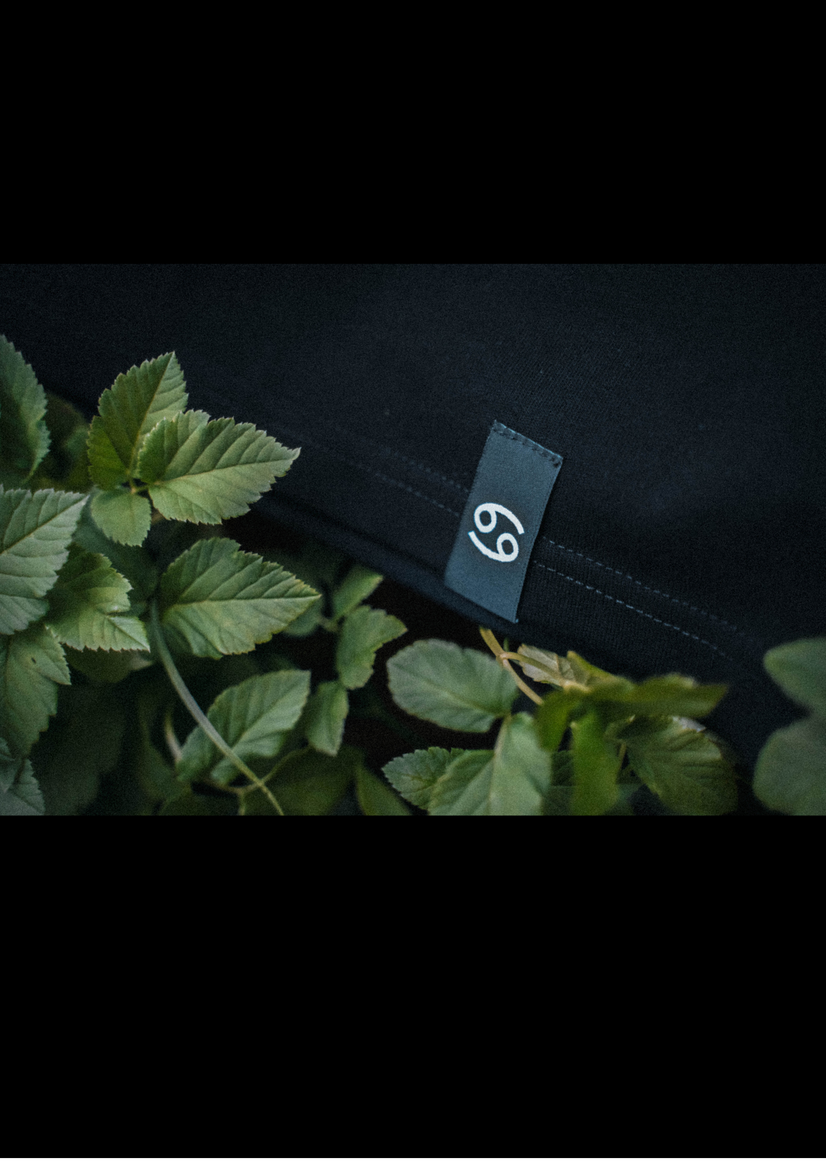 Rak T-shirt — Głęboka czerń